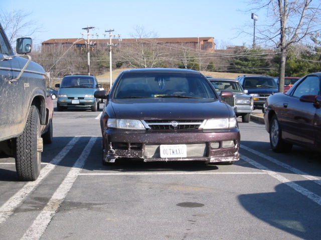 maxima.jpg