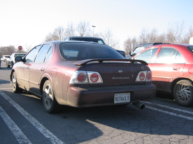 maximarear.jpg